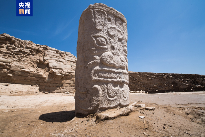 古DNA揭示石峁古城人群的遗传来源与社会结构