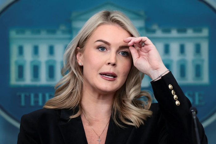 美媒：白宫新闻秘书莱维特侄子的母亲，被美国移民执法局拘捕