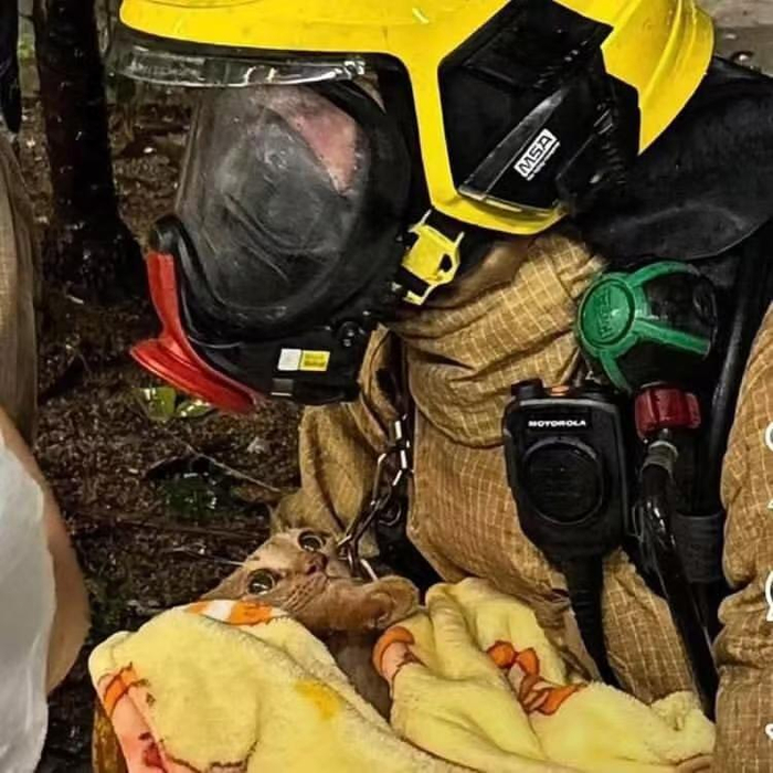 大火后的香港宏福苑:伤痛、自救与互助