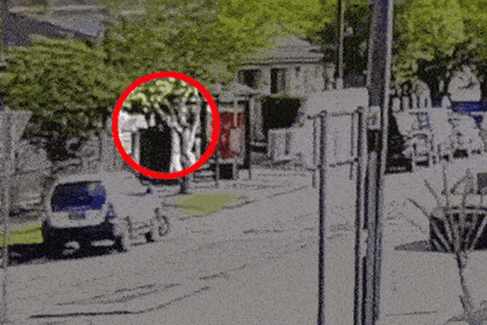 澳媒起底邦迪滩枪击案嫌犯父子:两人曾前往菲律宾待了一个月,警方正调查此行动机