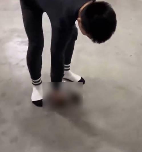 湖南湘西一职校通报“宿管摔猫”事件：已辞退