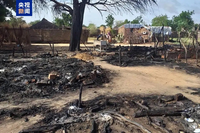 苏丹西部多地遭武装分子袭击 造成超200人死亡