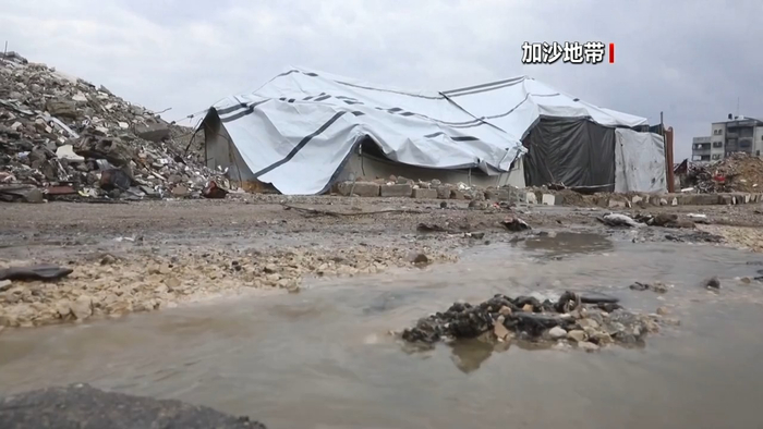 法国、英国、加拿大、丹麦、芬兰等十国外长发布联合声明