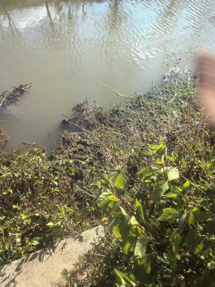 邀约偷铁皮遭拒绝，云南一61岁老妇杀害13岁男孩，一审获死刑