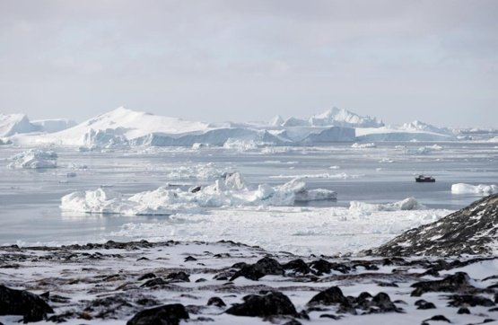 英媒爆料：特朗普已下令美军司令部制定“入侵”格陵兰岛计划，遭军方抵制