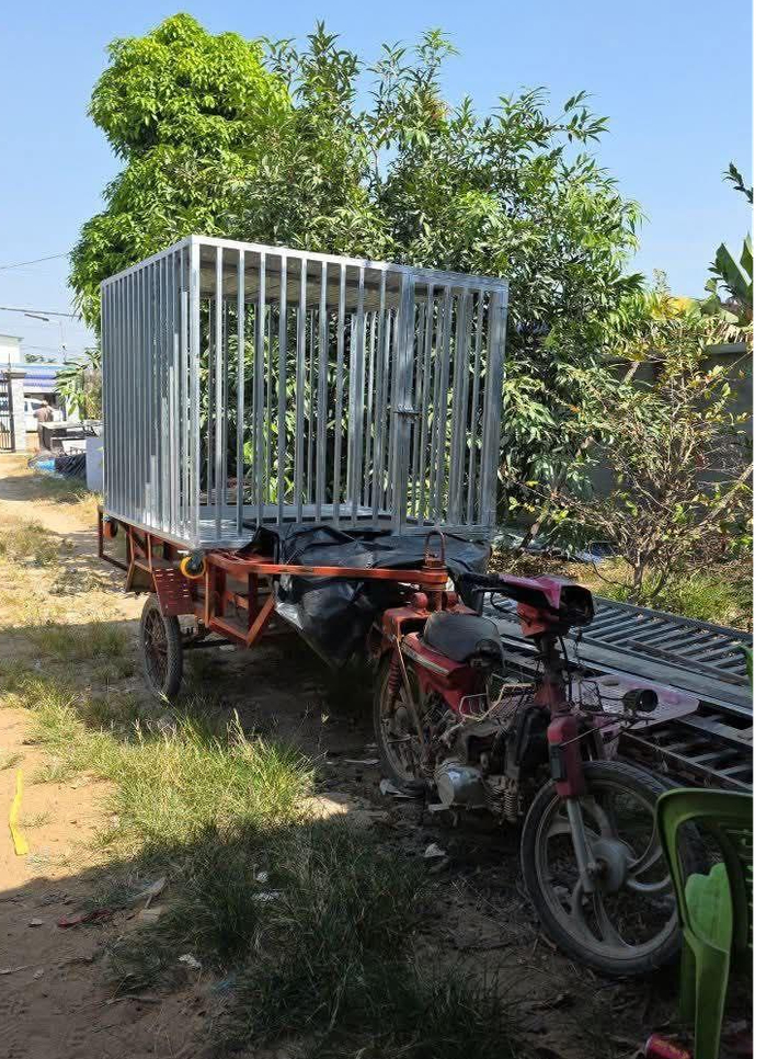 柬埔寨街头“狗笼运活人”视频疯传，警方：与人口贩运无关