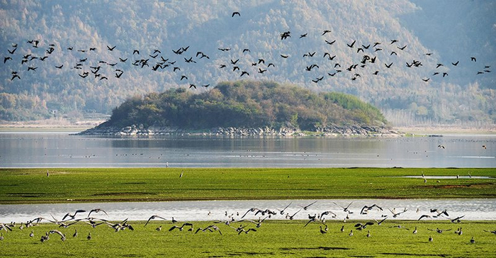 菜子湖湿地公园。安徽省林业局供图