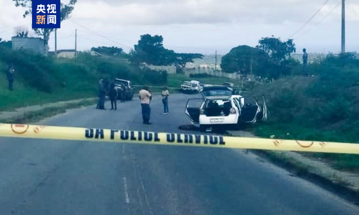 南非警方与犯罪嫌疑人发生交火 4人被打死