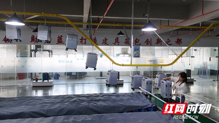 来自天南地北的企业家们在蓝山落户。