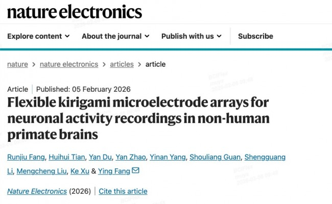 (图:《Nature Electronics》官方发布截图)