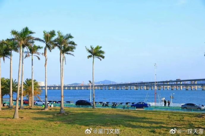 (图片来源:厦门文旅微博)