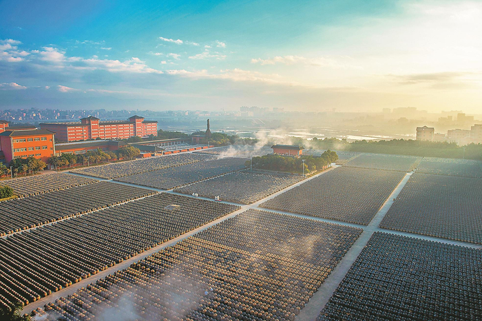 厦门古龙酱文化园晒场（受访单位供图）