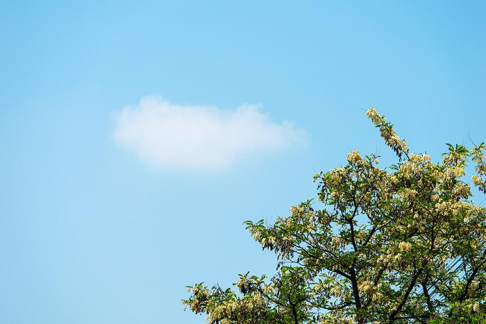3月份，这些新规将影响你我生活