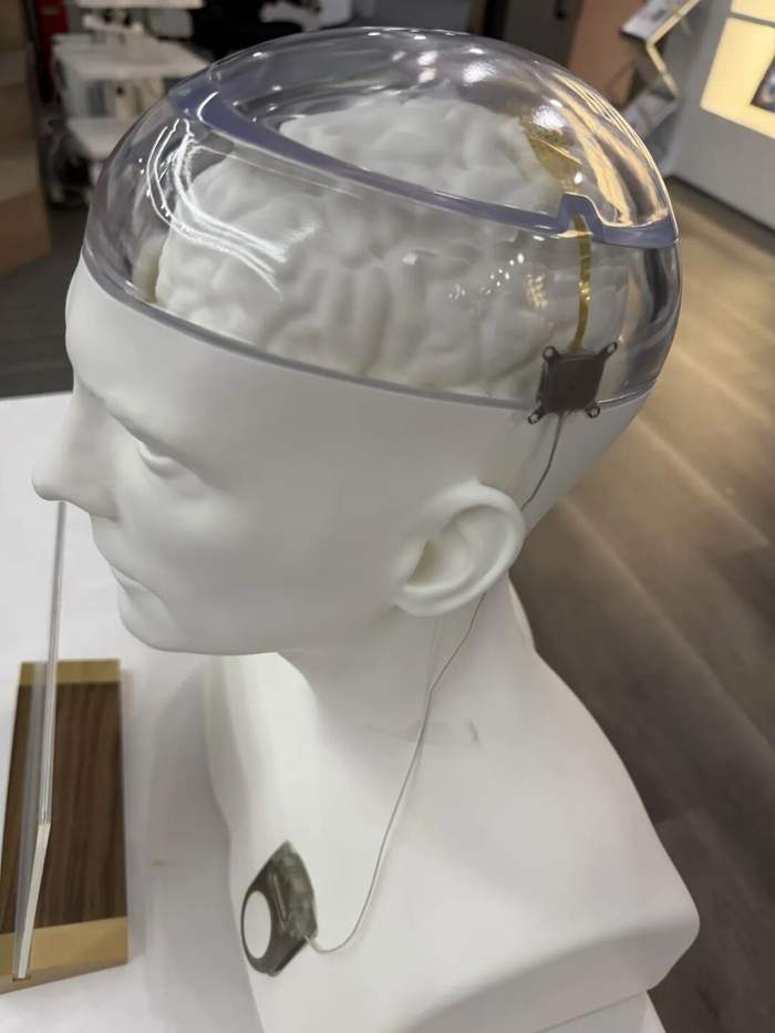 首批能活到1000岁的人，已经出生了？