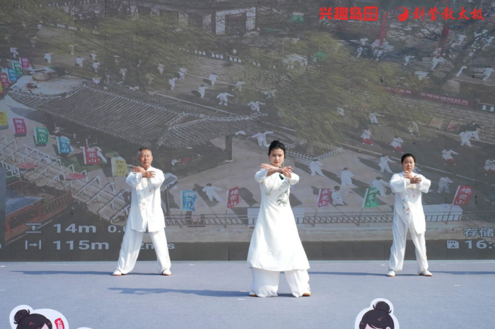 图 | 太极名师刘莹精彩展演引爆全场喝彩