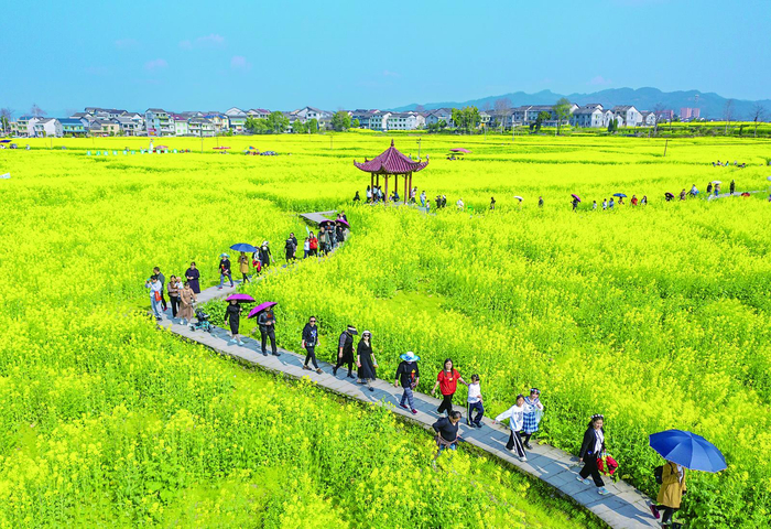     游客前来打卡游玩