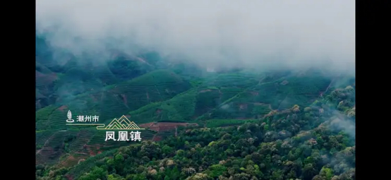 图为纪录片内容展示