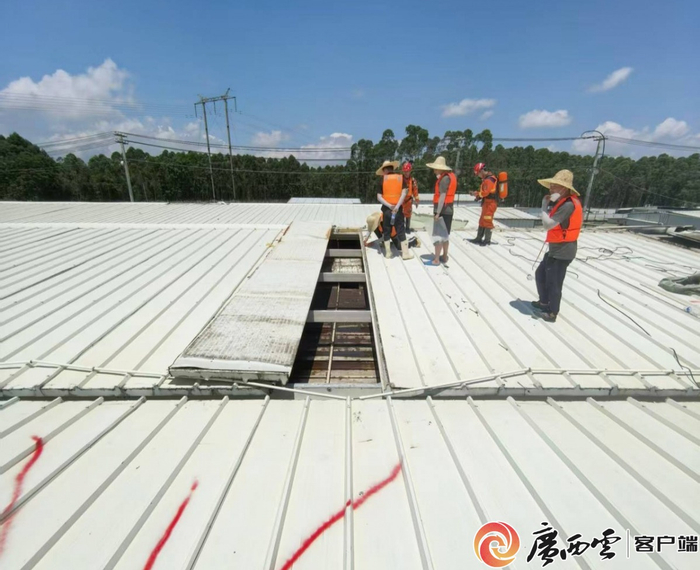 养殖场圈舍顶棚实地勘测。受访者 郑敏 供图