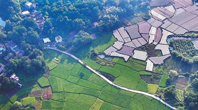 广西桂林市全州县毛竹山村的葡萄园和稻田。 新华社记者 黄孝邦摄