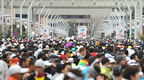2014东京马拉松回顾