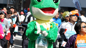 2011东京马拉松回顾