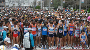 2009东京马拉松回顾