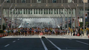 2008东京马拉松回顾