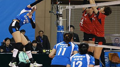 女排第8轮5佳球