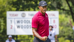 PGA决赛轮伍兹集锦