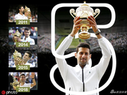 回顾德约科维奇5次温网夺冠