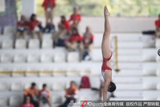 亚运会跳水女子10米台预赛 张家齐司雅杰出战