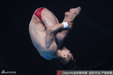 亚运10米跳台决赛邱波杨健出战