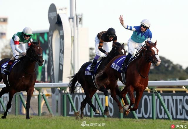 骏马飞驰2017日本杯赛马大赏