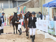 2019新浪杯未来之星马术大赛济南站精彩现场
