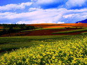 高清-多彩云南腾冲 滇西抗战热海温泉