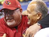 nfl亚利桑那红雀16-13印第安纳波利斯小马