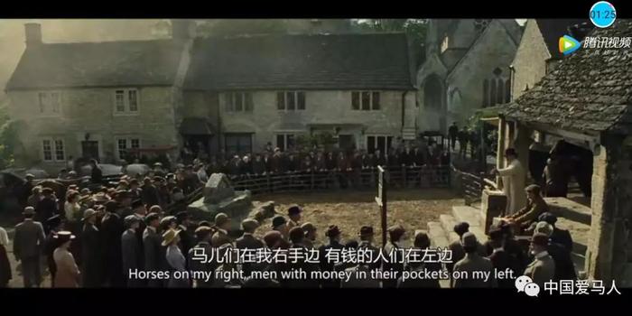 在中国，老百姓离马匹拍卖会有多远？