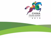 借鉴欧洲办赛经验，栾树、哈达铁与德国资深马术人共同商讨制定年青马西坞大奖赛规则