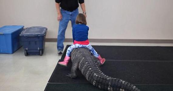 1月8日报道，美国一名母亲给女儿的生日礼物竟是骑鳄鱼。