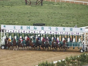 玉龙马会秋冬季赛事调整公告