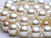 赏南珠享棋趣 这是一场你绝不能错过的海滨盛宴