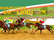 本周六新浪马术直播「玉龙国际赛马公开赛2018」爱尔兰比赛日