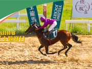 赛事战报 |「玉龙国际赛马公开赛2018」爱尔兰比赛日