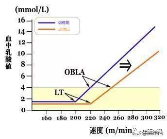 4。用跑量和速度来预测全马成绩