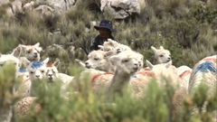 视频-2018达喀尔SS6赛段集锦