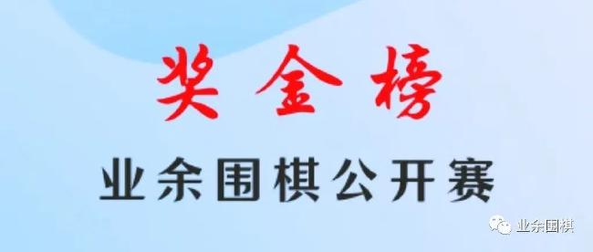 榜单 | 2023业余围棋公开赛奖金榜十强