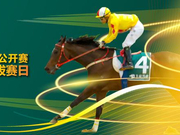 国产马系列赛事首日告捷暨玉龙马会第9赛事日赛事战报