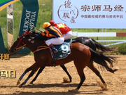 赛事前瞻「玉龙国际赛马公开赛2018」神奇百万两岁马锦标赛马日