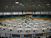 玉龙秋季拍卖会现场