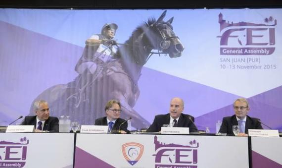 2015国际马联大会